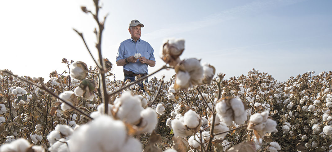 U.S. cotton farms and growers